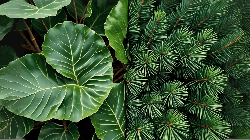 Foto close-up daun pohon Damar yang lebar disandingkan dengan daun pohon Pinus yang seperti jarum, dengan teks Beda Daun, Beda Cerita Damar vs. Pinus